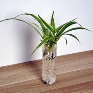 Stiklinė vaza "Harmonija"