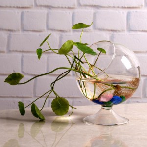 Pastatoma stiklinė vaza "Naujoji elegancija"