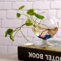 Pastatoma stiklinė vaza "Naujoji elegancija"