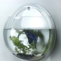 Dekoratyvinis pakabinamas vazonas "Mikro pasaulis 2"