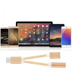 Type-C jungties keitiklis "Puikus pasirinkimas 9" (3.5 mm)