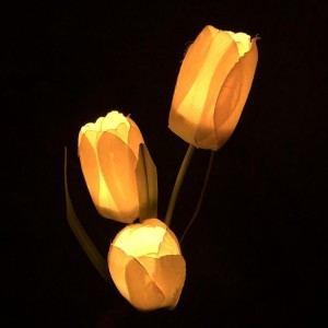 Saulės energija įkraunamas šviestuvas "Naktinė gėlė 5"