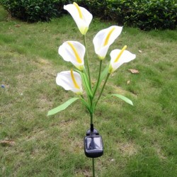 Saulės energija įkraunamas šviestuvas "Naktinė kalija"