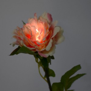 Saulės energija įkraunamas šviestuvas "Rausvasis bijūnas"