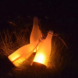 Saulės energija įkraunamas šviestuvas "Naujasis progresas" (3 vnt.)