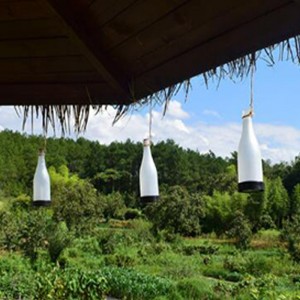 Saulės energija įkraunamas šviestuvas "Naujasis progresas" (3 vnt.)