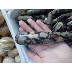 Septariano masažinė lazdelė "Intimate Pro" (10 cm)