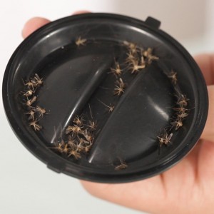 Uodų gaudyklė "Baby Guard Pro 10" (USB)