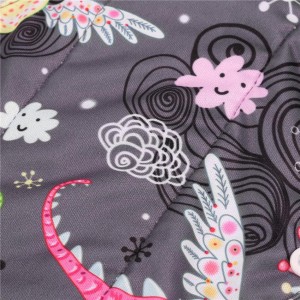 Daugkartinio naudojimo higieniniai įklotai "Mielieji drakoniukai" (5 vnt.)