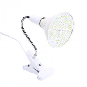 LED lempa veido masažui "Fotonų galia"