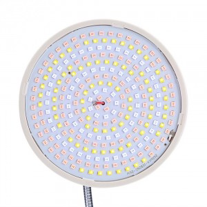 LED lempa veido masažui "Fotonų galia"