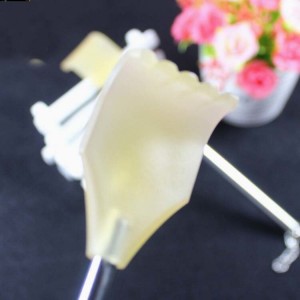 Nugaros masažinė lazdelė "Tikrai pasieksiu 3"