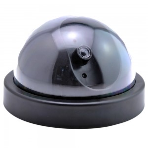 Netikra vaizdo kamera "Tikrovė"