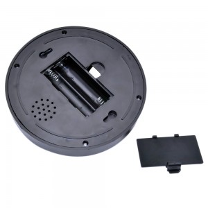 Netikra vaizdo kamera "Tikrovė"