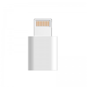 micro USB į iPhone, iPad jungtis "Profesionalas 4"