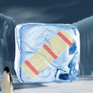 M.2 į PCI-E 3.0 X16 plokštė "Black edition Pro 2" (NVME, NGFF, SSD)