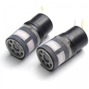 Mikrofono dalis pakeitimui "Atsinaujinimas"