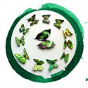 Veidrodiniai lipdukai "Žalieji drugeliai 4" (12 vnt.)