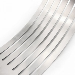 Tortų ir pyragų pjaustyklė "Aukščiausia klasė 4" (16-20 cm)