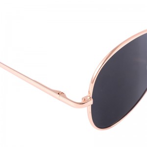 Apsauga nuo sekimo "Pro Classic 2"