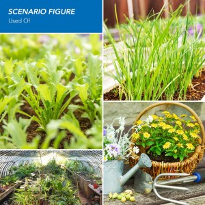 80 LED lemputė augalams "Puikioji šviesa 5"