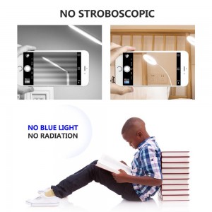 Stalinė nešiojama LED lempa "ProLighting 2"