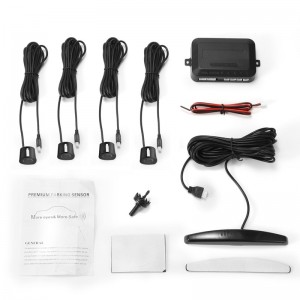 Parkavimo sistema "Pro Parking 10"