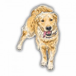 Lipdukas "Puikusis šuo"