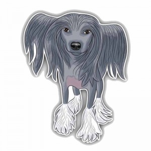 Lipdukas "Puikusis šuo"