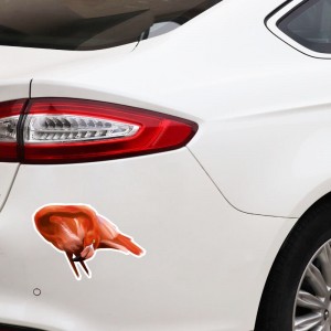 Lipdukas "Puikusis flamingas" 