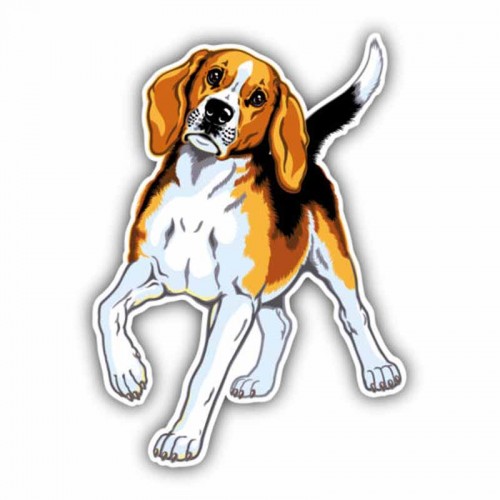 Lipdukas "Puikusis šuo"