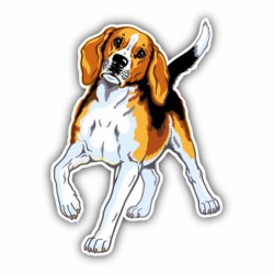 Lipdukas "Puikusis šuo"