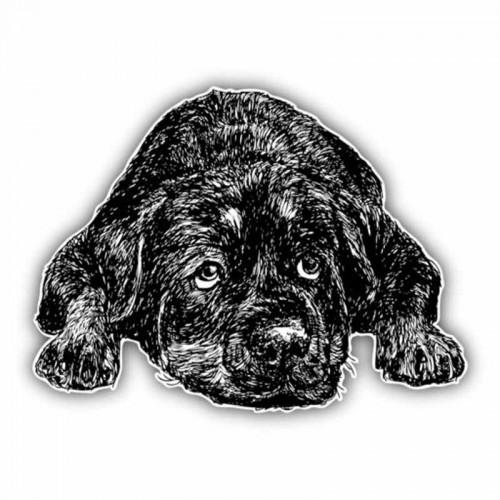 Lipdukas "Puikusis šuo"