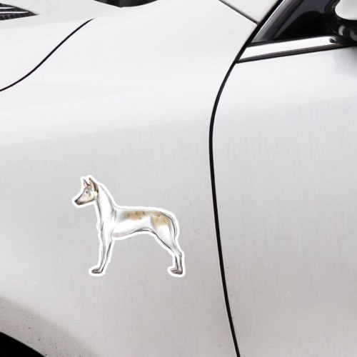 Lipdukas "Puikusis šuo"