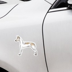 Lipdukas "Puikusis šuo"