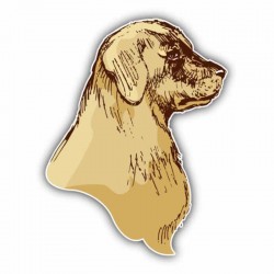 Lipdukas "Puikusis šuo"