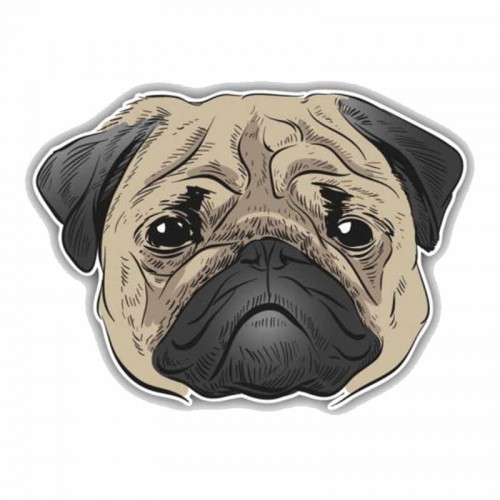 Lipdukas "Puikusis šuo"