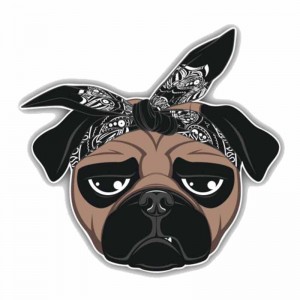 Lipdukas "Puikusis šuo"