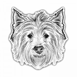 Lipdukas "Puikusis šuo"