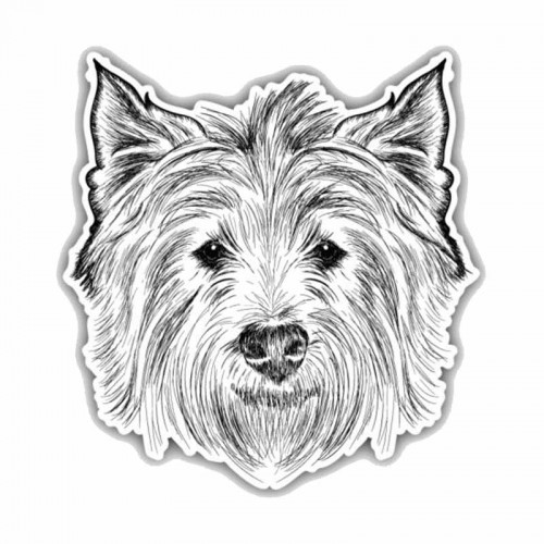 Lipdukas "Puikusis šuo"