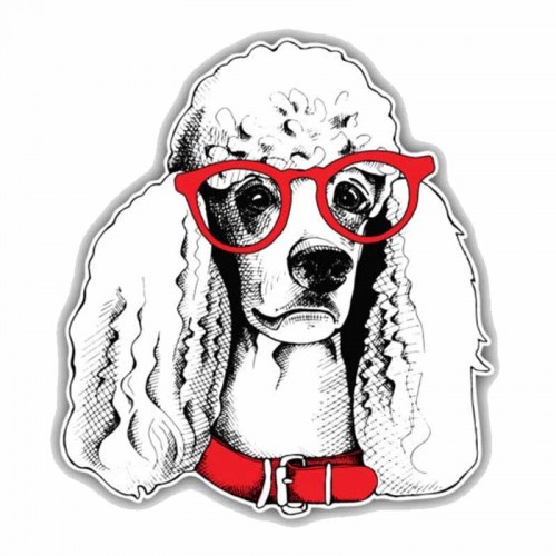 Lipdukas "Puikusis šuo"