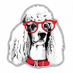 Lipdukas "Puikusis šuo"