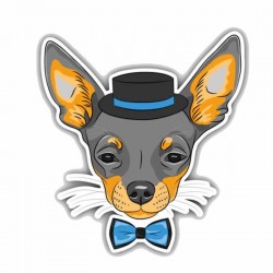 Lipdukas "Puikusis šuo"