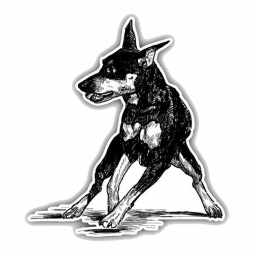 Lipdukas "Puikusis šuo"