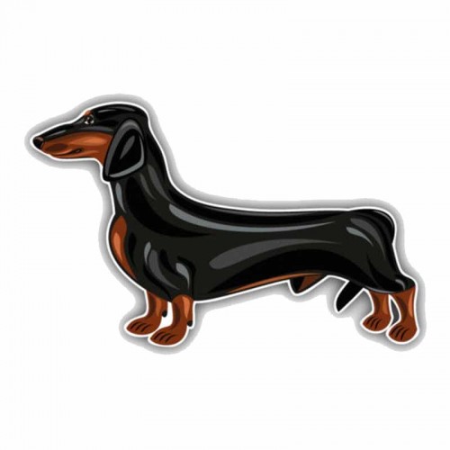 Lipdukas "Puikusis šuo"