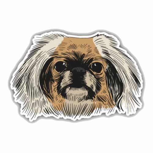 Lipdukas "Puikusis šuo"