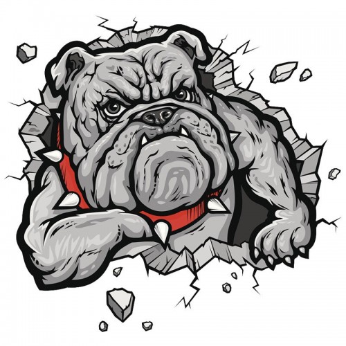 3D lipdukas "Šuo" (13 x 17 cm)