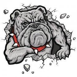 3D lipdukas "Šuo" (13 x 17 cm)