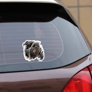 Lipdukas "Puikusis drakonas" (13.5 x 14.2 cm)