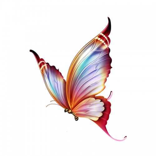 Lipdukas "Puikusis drugelis" (11.8 x 15.1 cm)